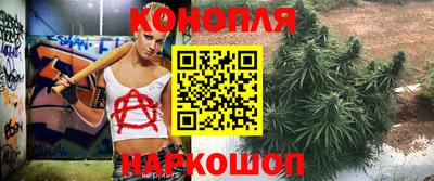 сатива Дубна