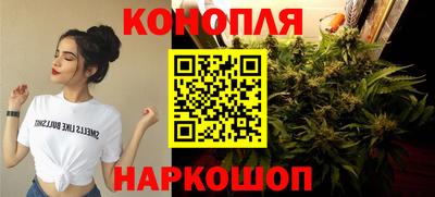 сатива Дубна