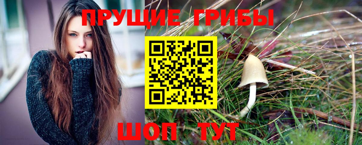 Торжок  Псилоцибиновые грибы Cubensis  Псилоцибиновые грибы мухоморы  как найти   Вход с VPN 